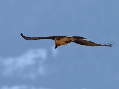 328A3853 copy