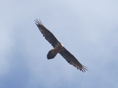 JA8A5156 copy