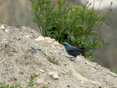 JA8A2342 copy