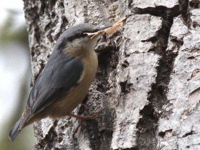 IMG 2022Crop