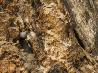 IMG 2257Crop