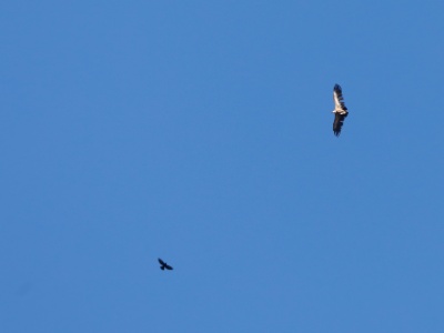 328A7694 copy
