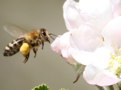 IMG 3540Crop2