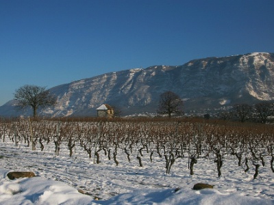 IMG 5329  Le Saleve, Switzerland