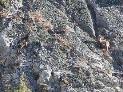 IMG 7756Crop