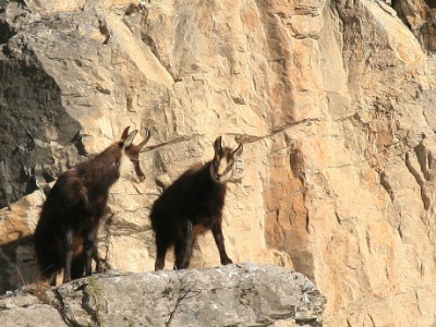 IMG 7927Crop
