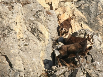 IMG 7928Crop