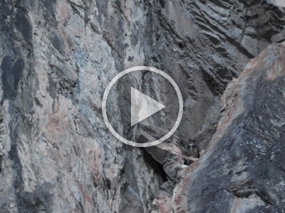 A 0002C023A260204 175714EJ CANON